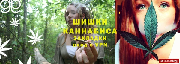 2c-b Лагань