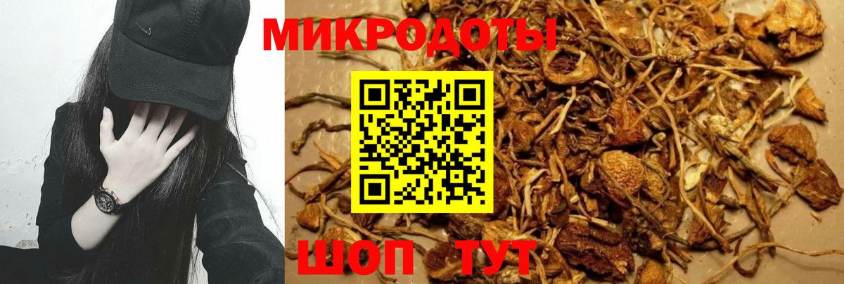 Галлюциногенные грибы ЛСД  Вход с VPN  Тейково 