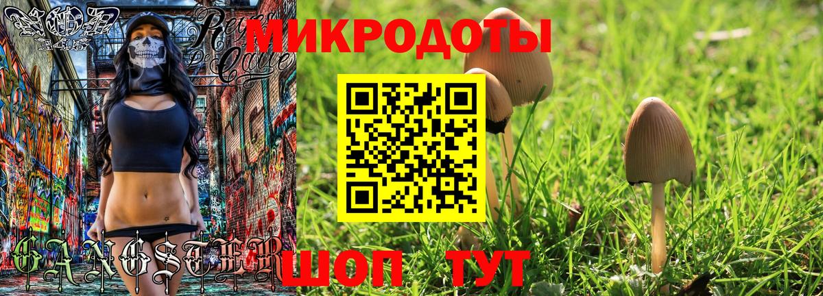 Галлюциногенные грибы Psilocybe  Тейково 