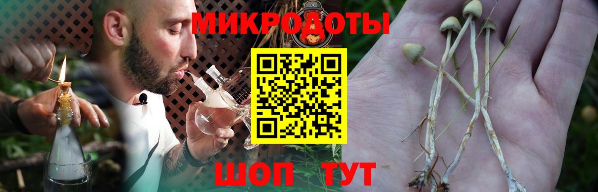 Галлюциногенные грибы Magic Shrooms Тейково