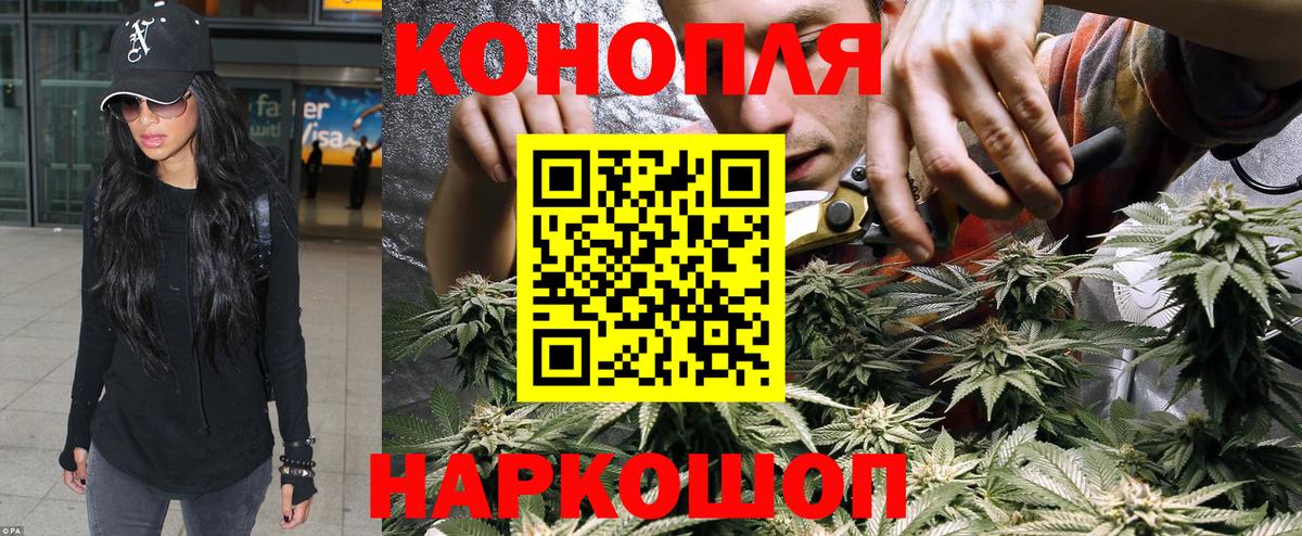 Бошки марихуана VHQ  Каннабис планчик  МАРИХУАНА сатива  Тейково  Канабис Amnesia 